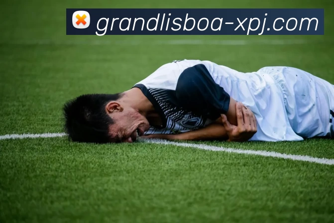 新葡京娱乐APP 封面图